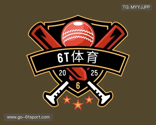 了解6t体育